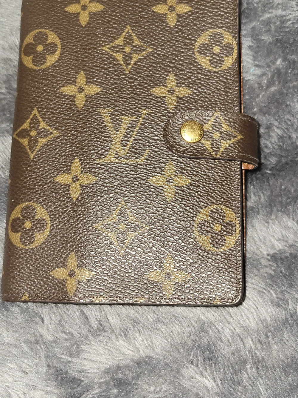 Louis Vuitton classic louis